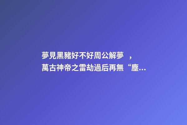 夢見黑豬好不好周公解夢，萬古神帝之雷劫過后再無“塵”-第1張-觀點-玄機派